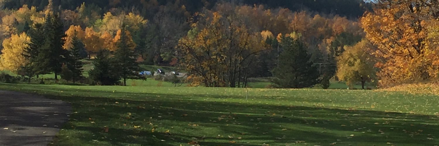 alexstcroix's profile banner image