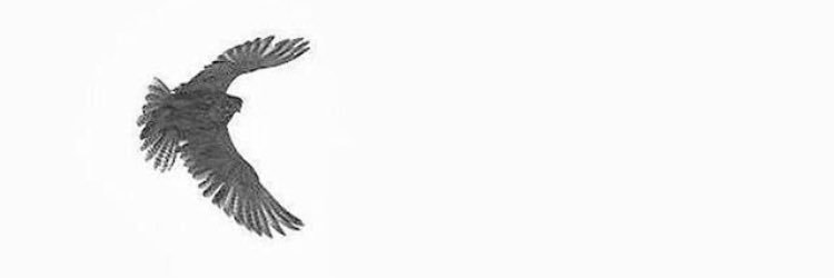 __mnsori's profile banner image