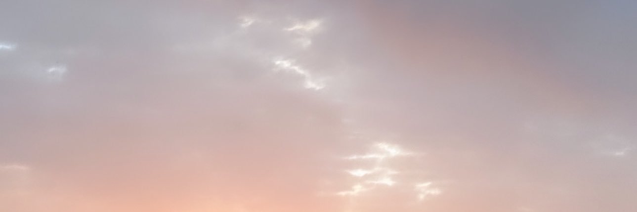 lex 🎀 banner