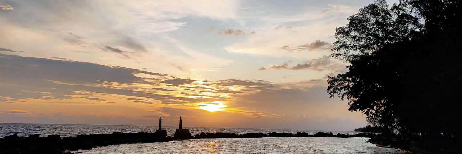 FNizom's profile banner image