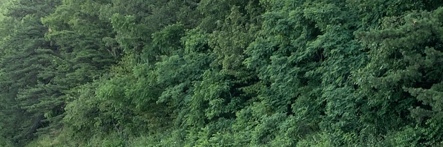 Moeedch_'s profile banner image