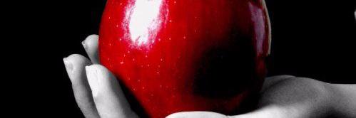 xAlejo_'s profile banner image