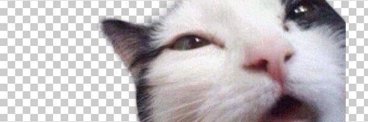 thefweh's profile banner image