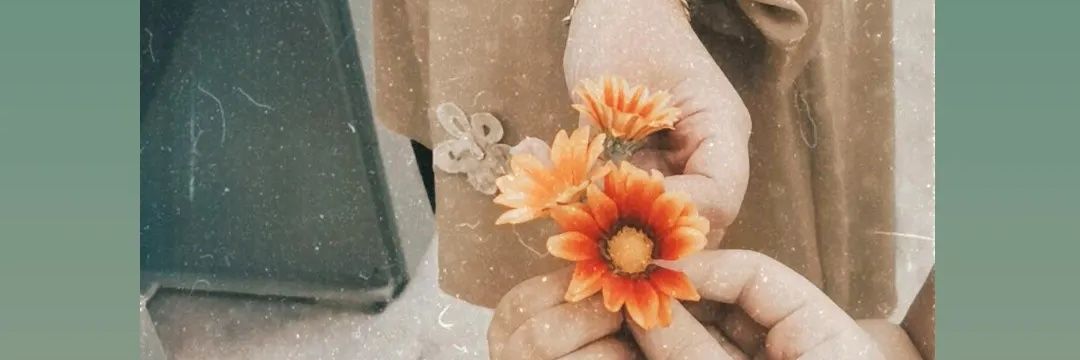 alyaaabass1's profile banner image