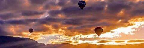 alicia_lyons's profile banner image