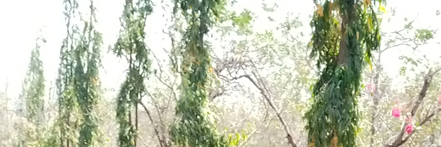 kumarmanish8201's profile banner image