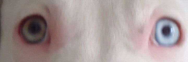 FlorVosE's profile banner image