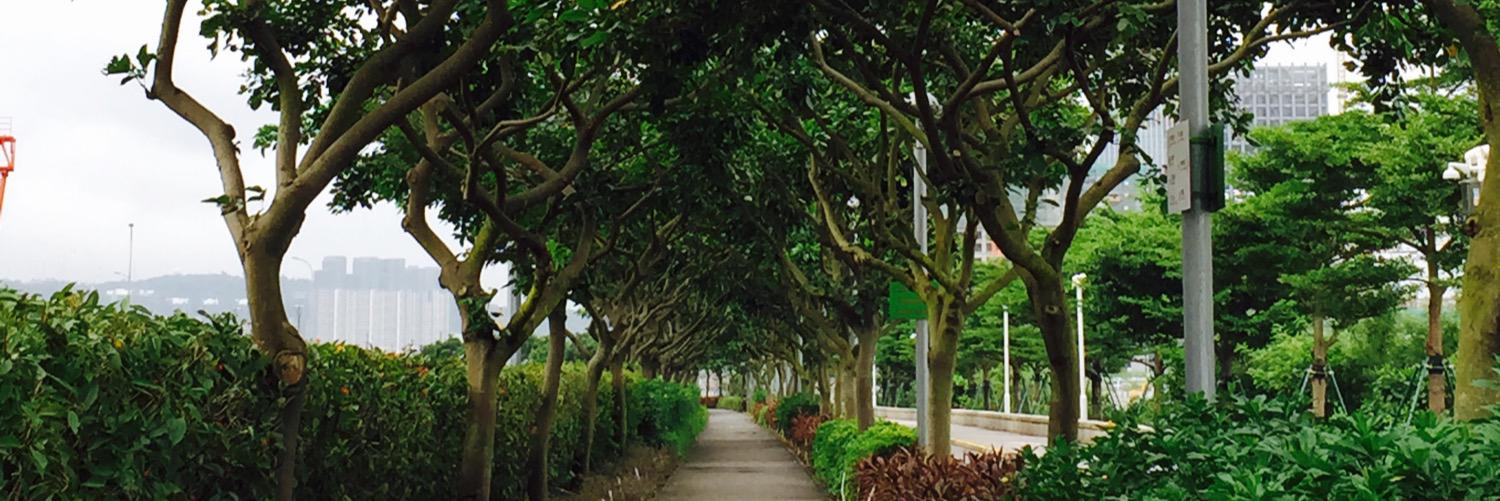 SizzLheng's profile banner image