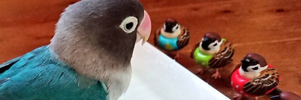 yatou36 Profile Banner