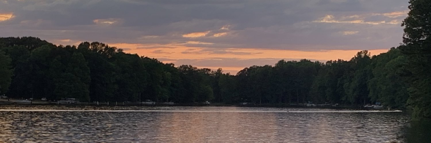 ProfMarkAllen's profile banner image