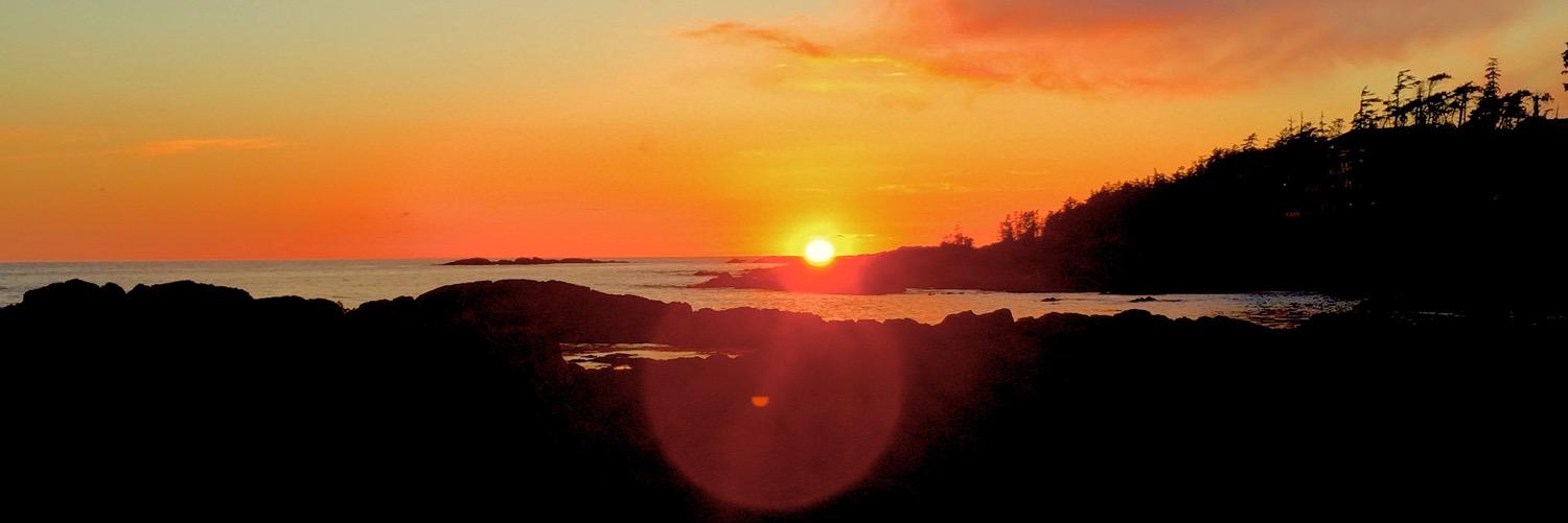 JillDunlop's profile banner image