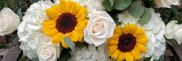 Neda Joury-Penders banner