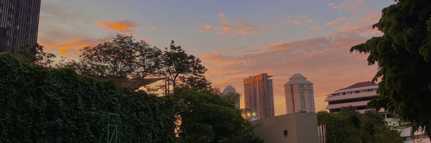 vegitamuf's profile banner image