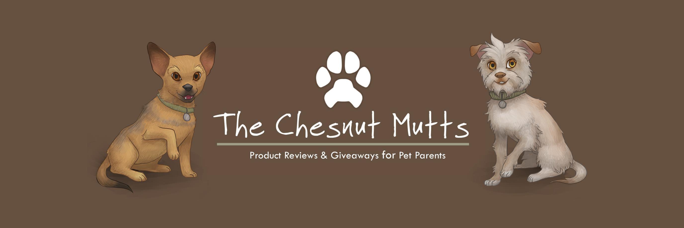 Abby Chesnut banner