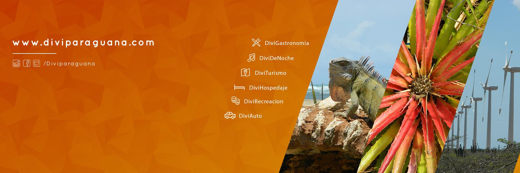 diviparaguana's profile banner image