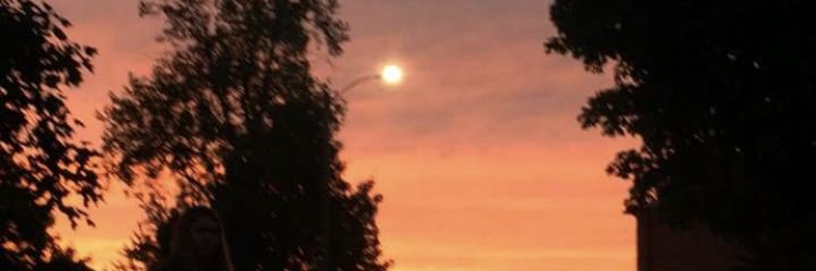 MaeDelRey's profile banner image