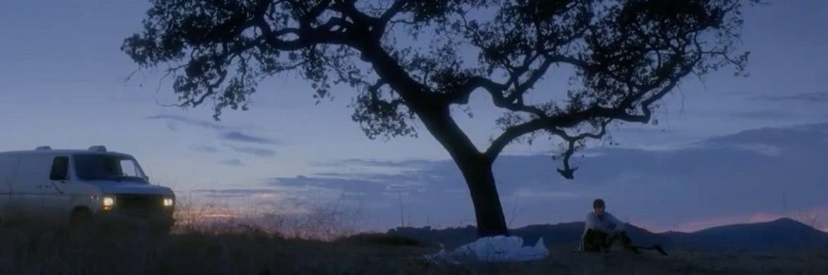 monaleesavito's profile banner image