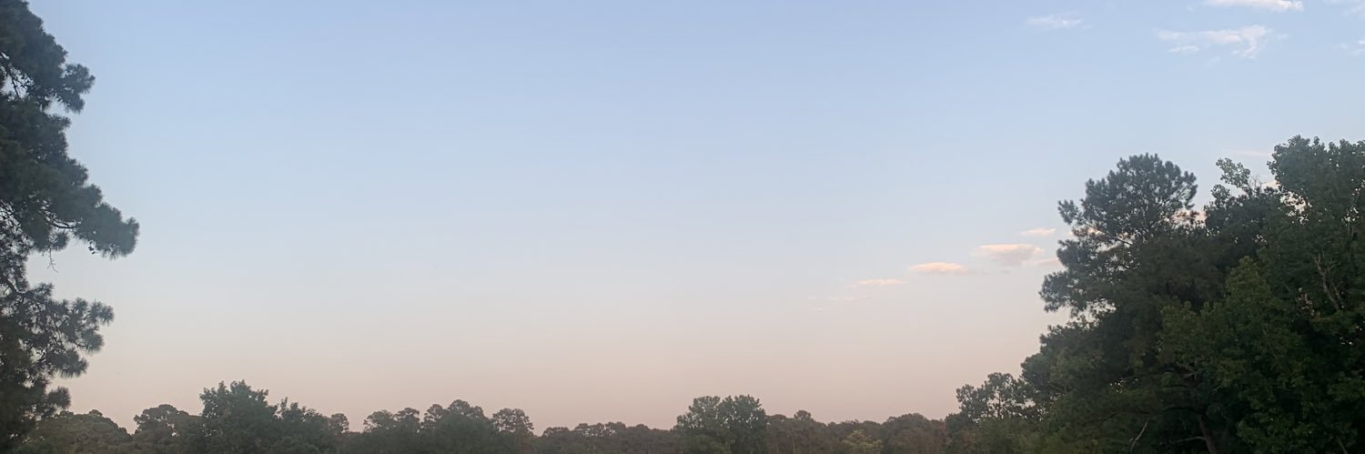 joliemoorman's profile banner image