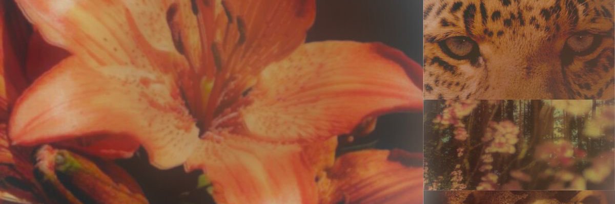 DestiniLashae23's profile banner image