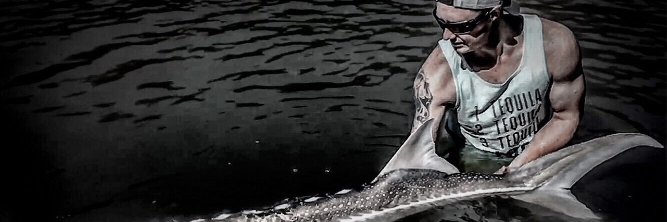 kbricky's profile banner image