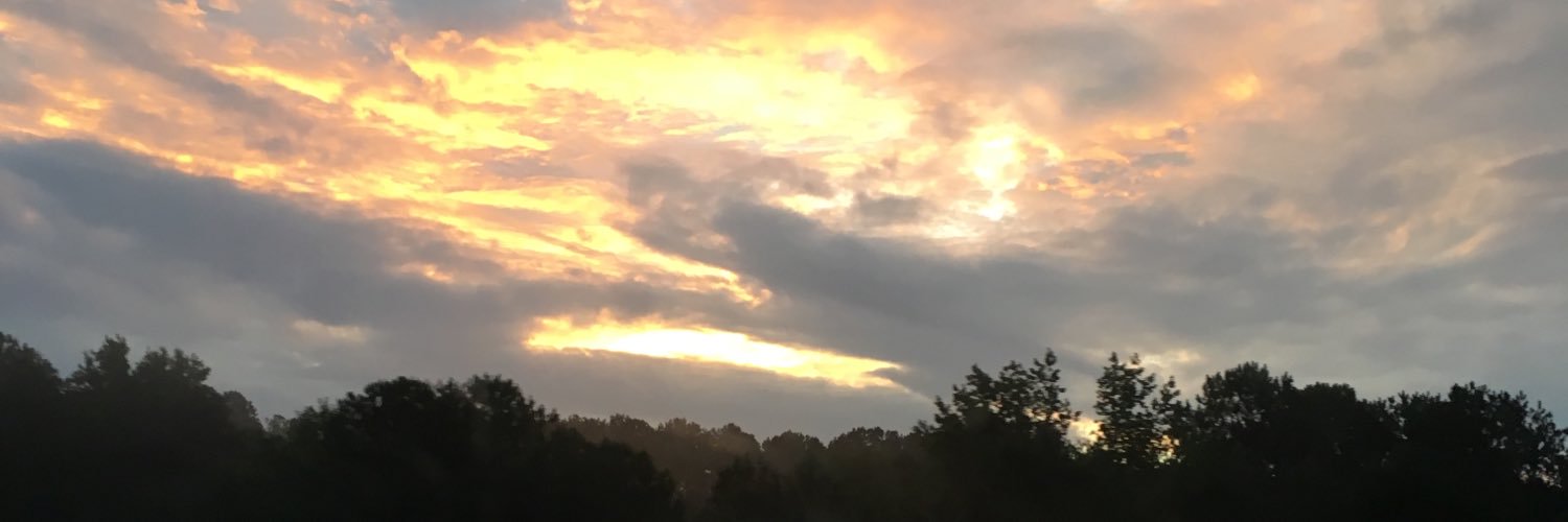 CharliKoster's profile banner image
