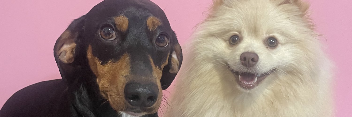 donacerveja's profile banner image