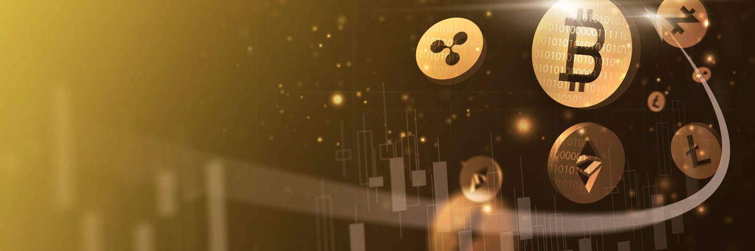 SNOWKING420.SOL❄️👑 #H$A banner