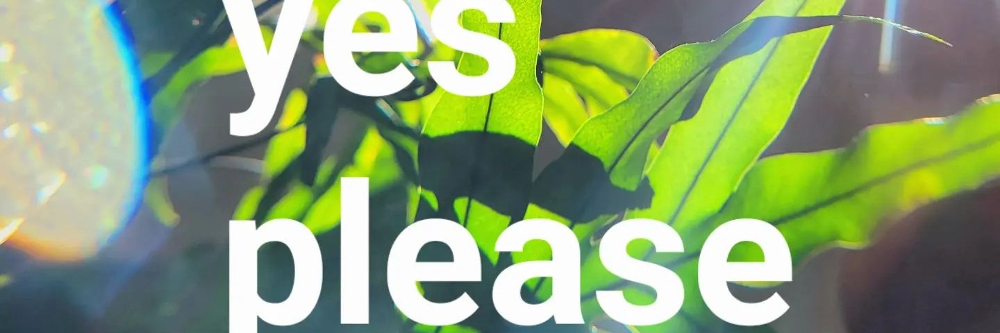 junelikethemonth's banner