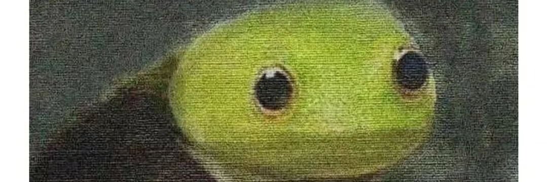 Nyles banner