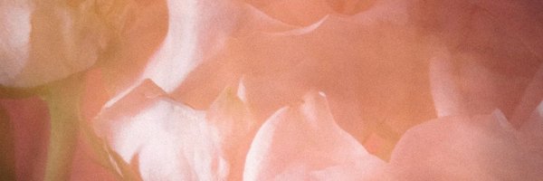 porsxcc Profile Banner