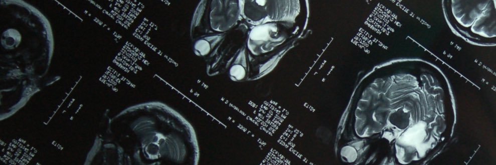 Guy Lipof - גיא banner