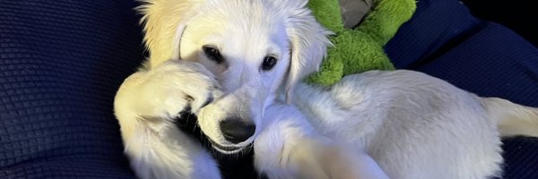 brysonvaughn12 Profile Banner
