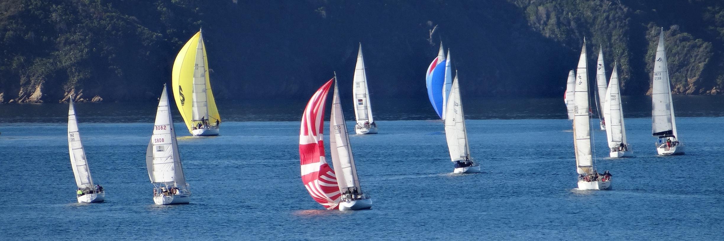 Waikawa Boating Club banner