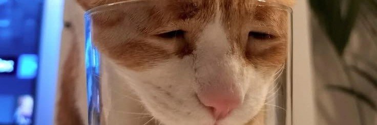 flimzyrs's profile banner image