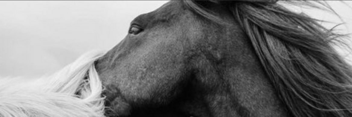 ial96_'s profile banner image