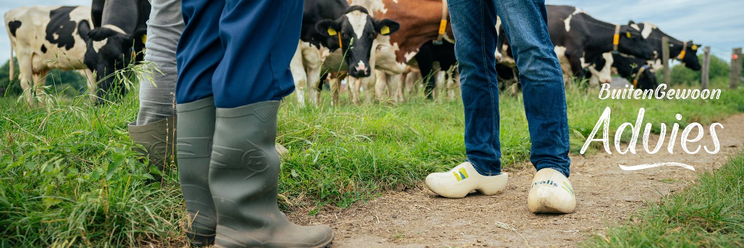 Arvalis Advies banner