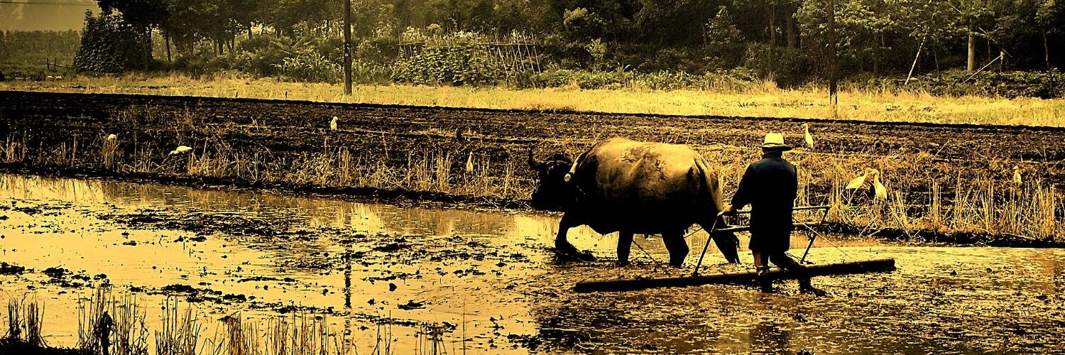 Jared T Nelson banner