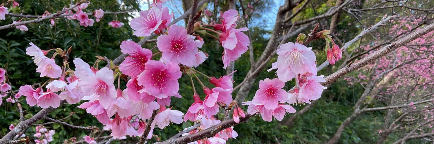 Dojinadokin's profile banner image