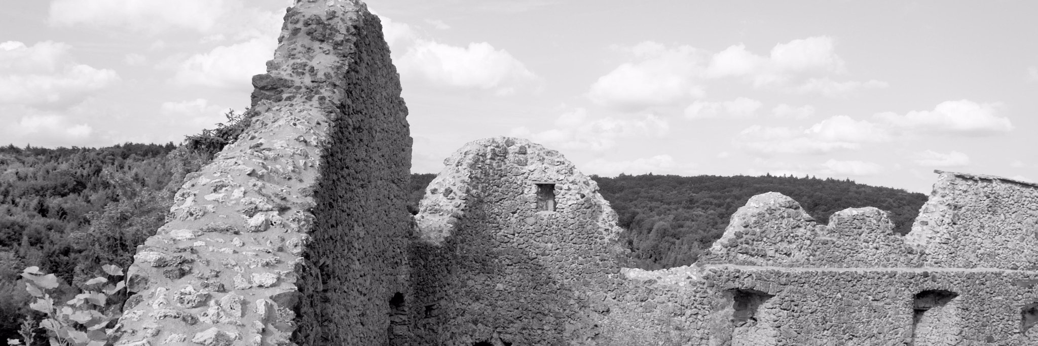 MatthiasHaack's profile banner image