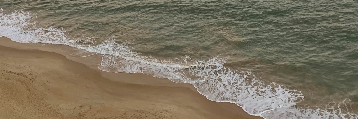 deborasimonato's profile banner image