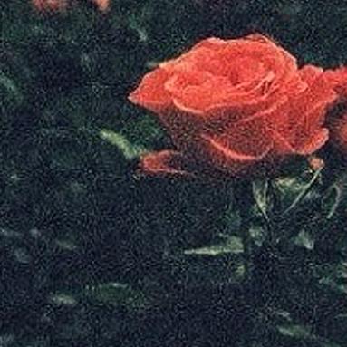 abnerarevalo76's profile banner image