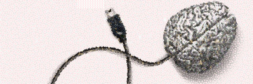 Verna Stavric banner