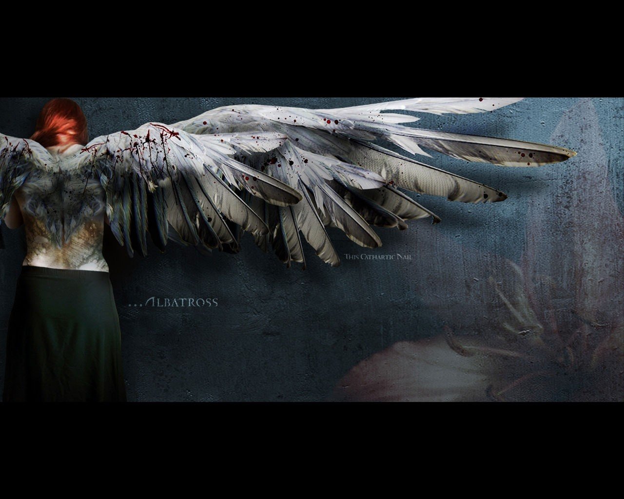 a_navarro81's profile banner image