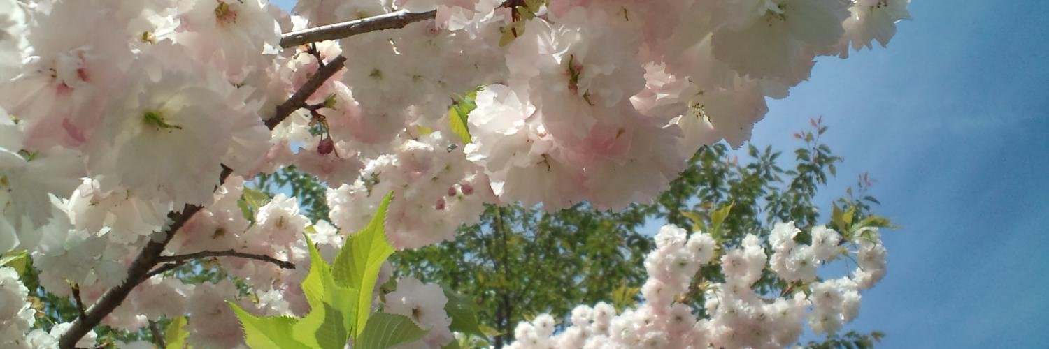orangeyuuyu's profile banner image