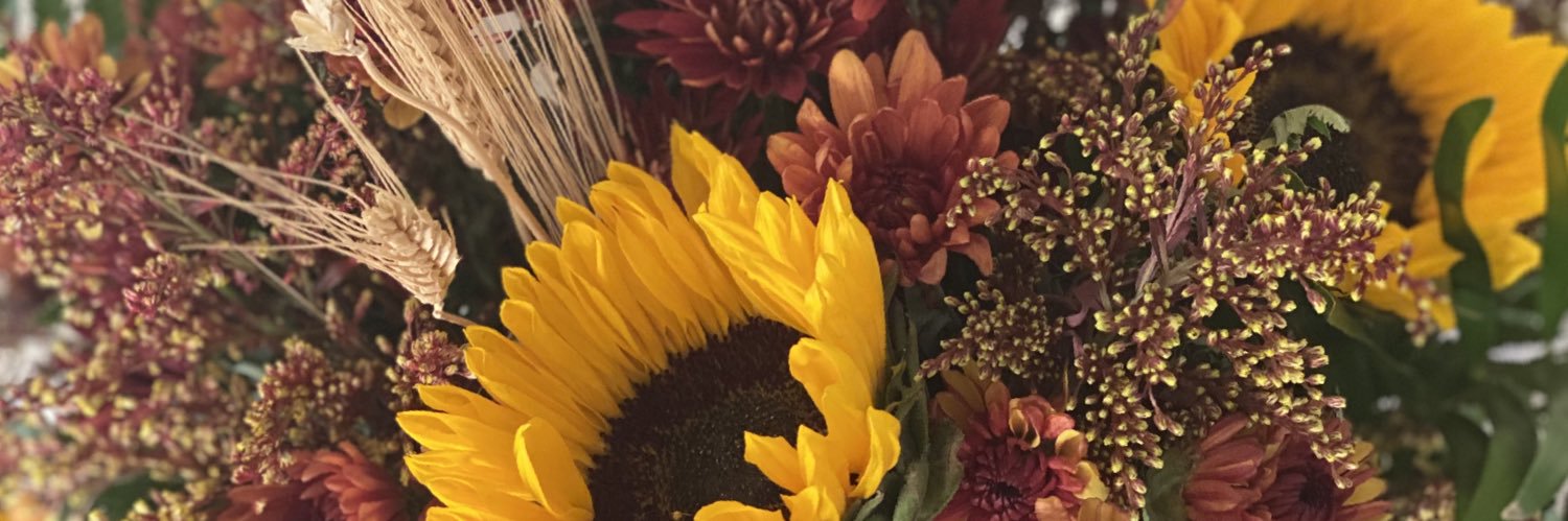 britt55's profile banner image