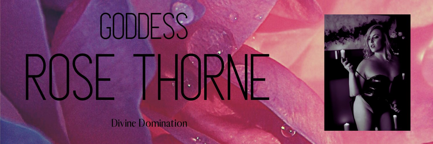 gdssrosethorne's profile banner image