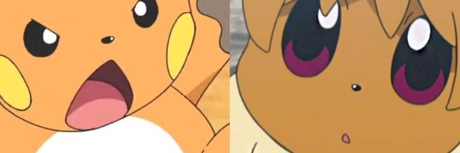 Raichu y Eevee Noticias banner