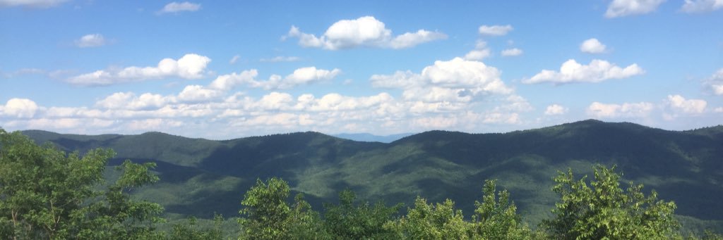 JenniferRDH's profile banner image