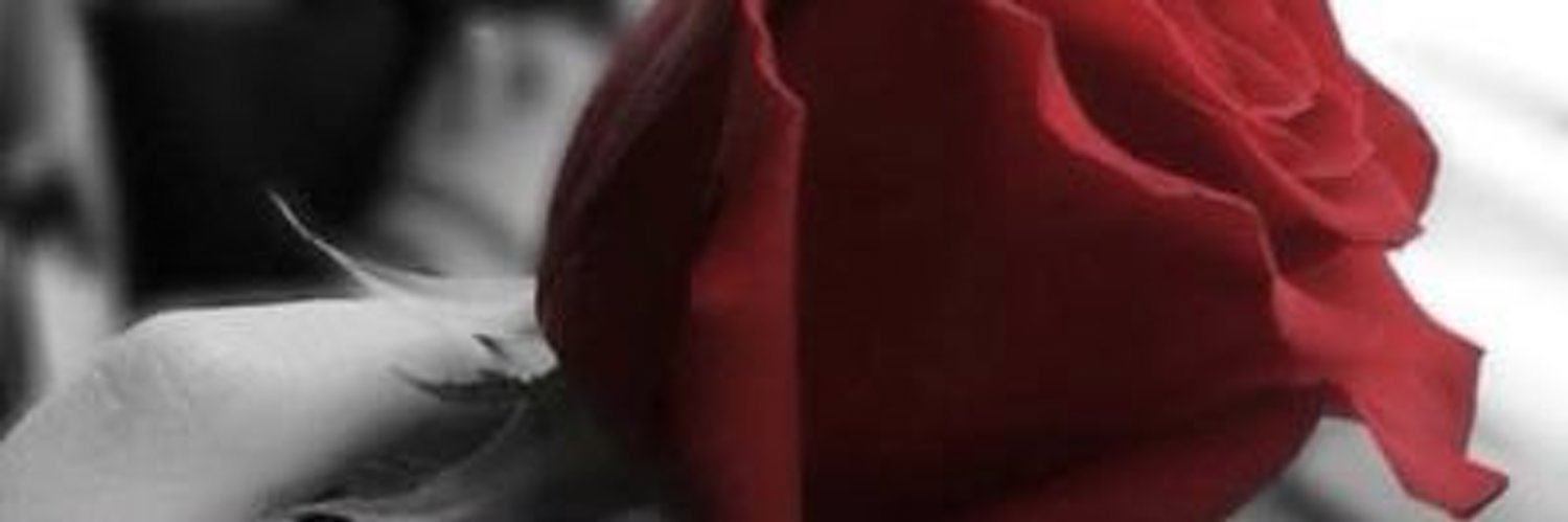 nooooona694's profile banner image