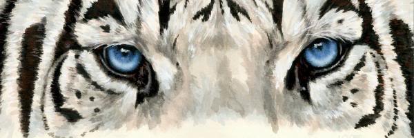 NOYDB3's profile banner image